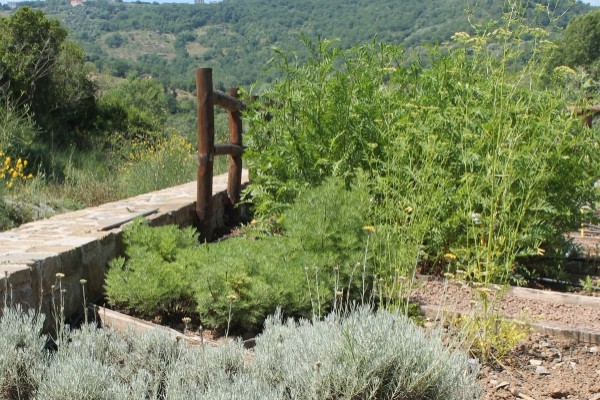 Oasi Alento - Cilento