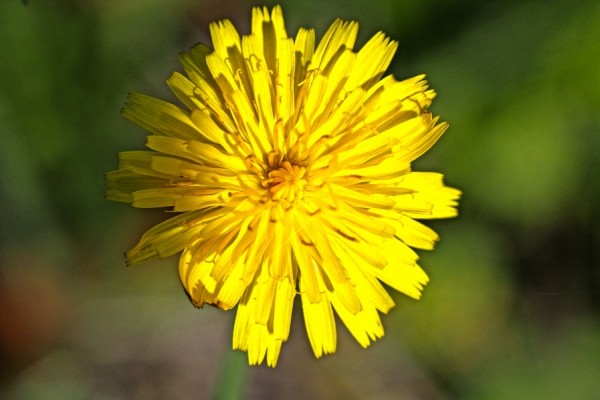 Oasi Alento - Cilento