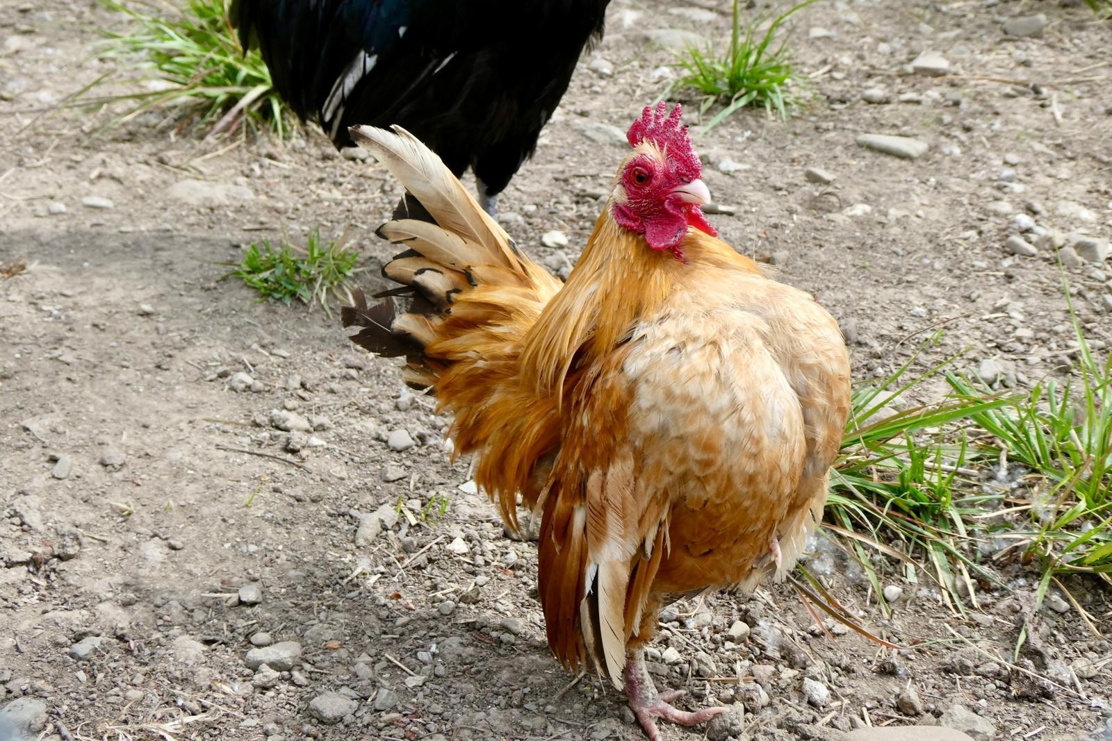 Oasi Alento - Cilento