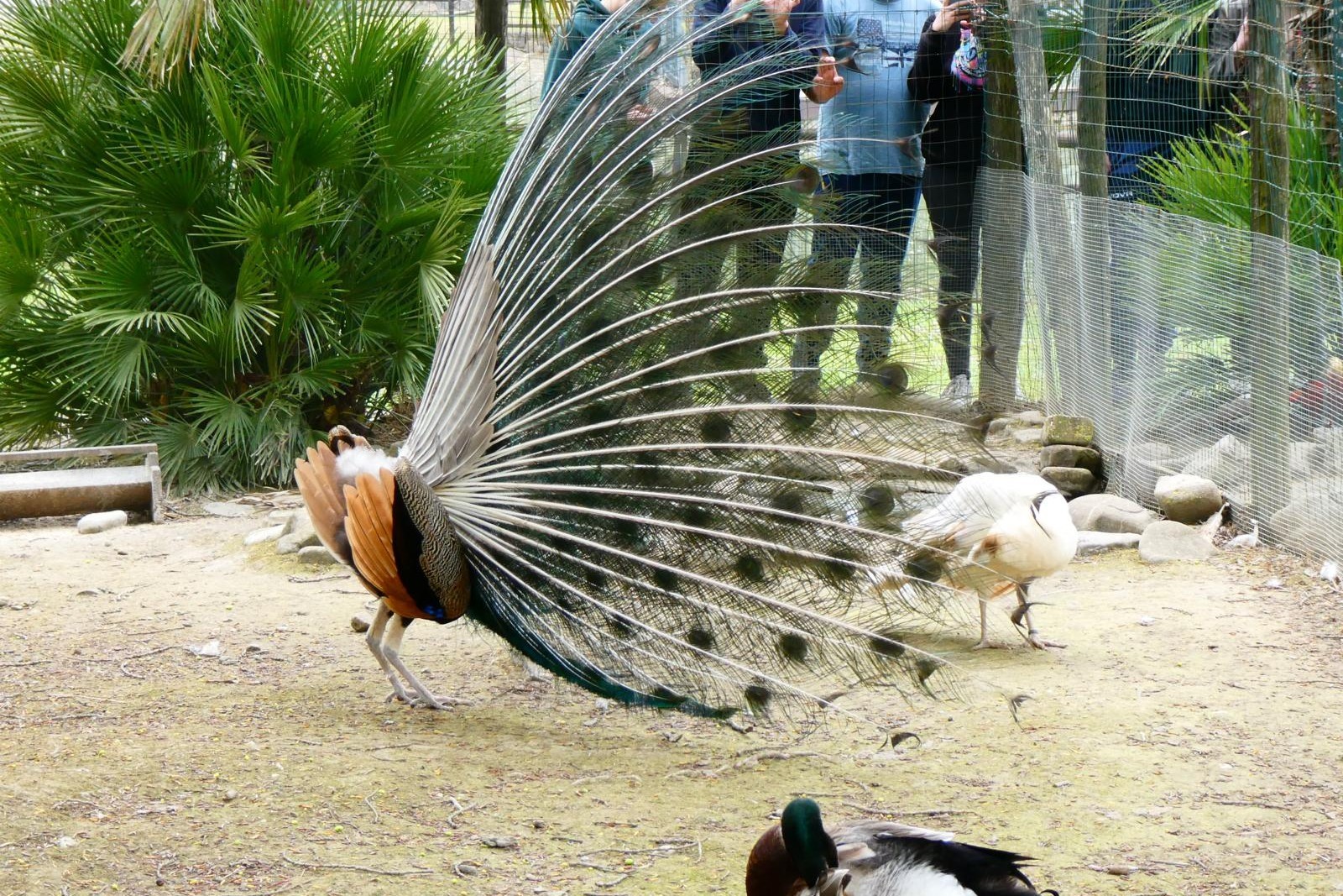 Oasi Alento - Cilento