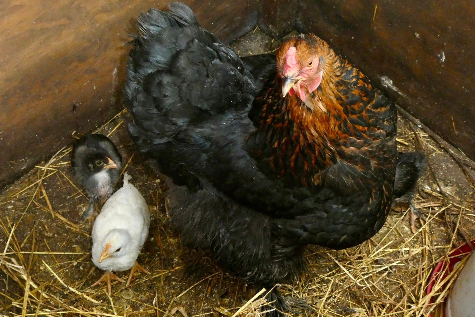 Oasi Alento - Cilento