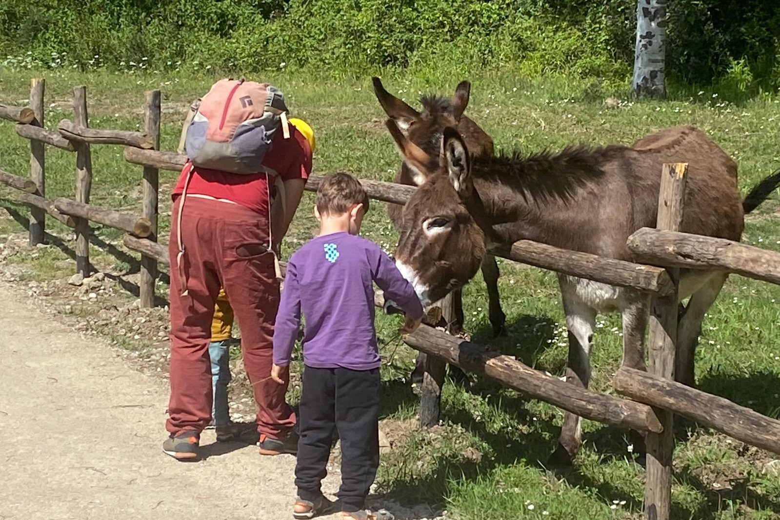 Oasi Alento - Cilento