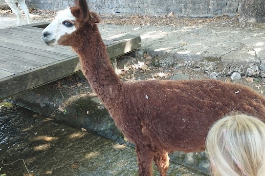 Oasi Alento - Cilento