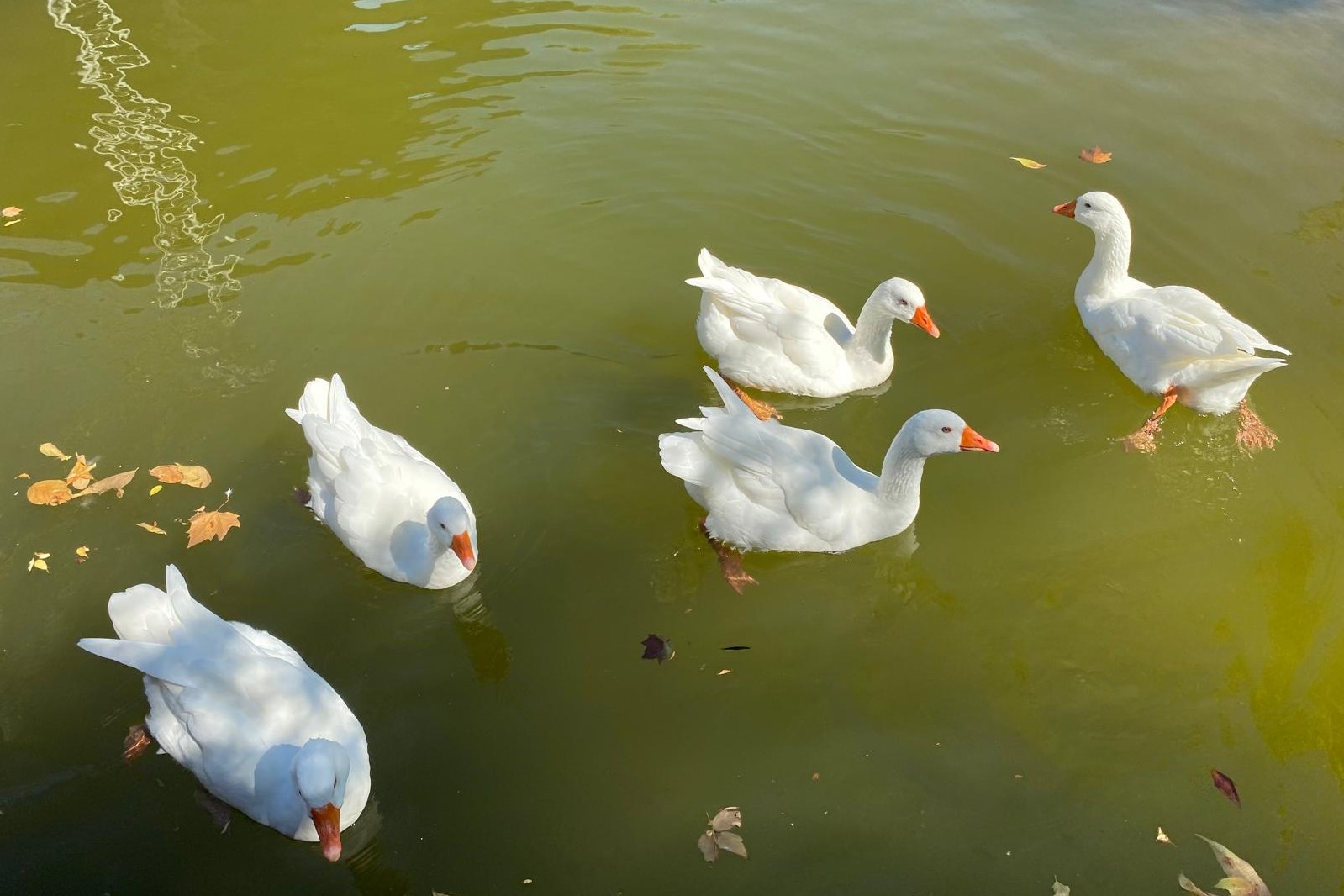 Oasi Alento - Cilento