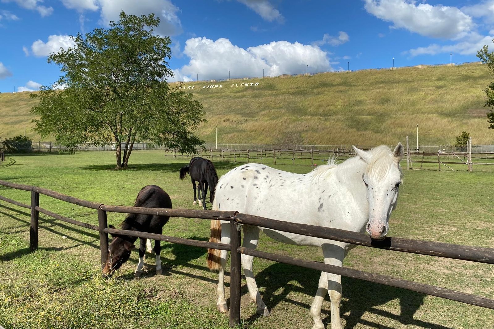 Oasi Alento - Cilento