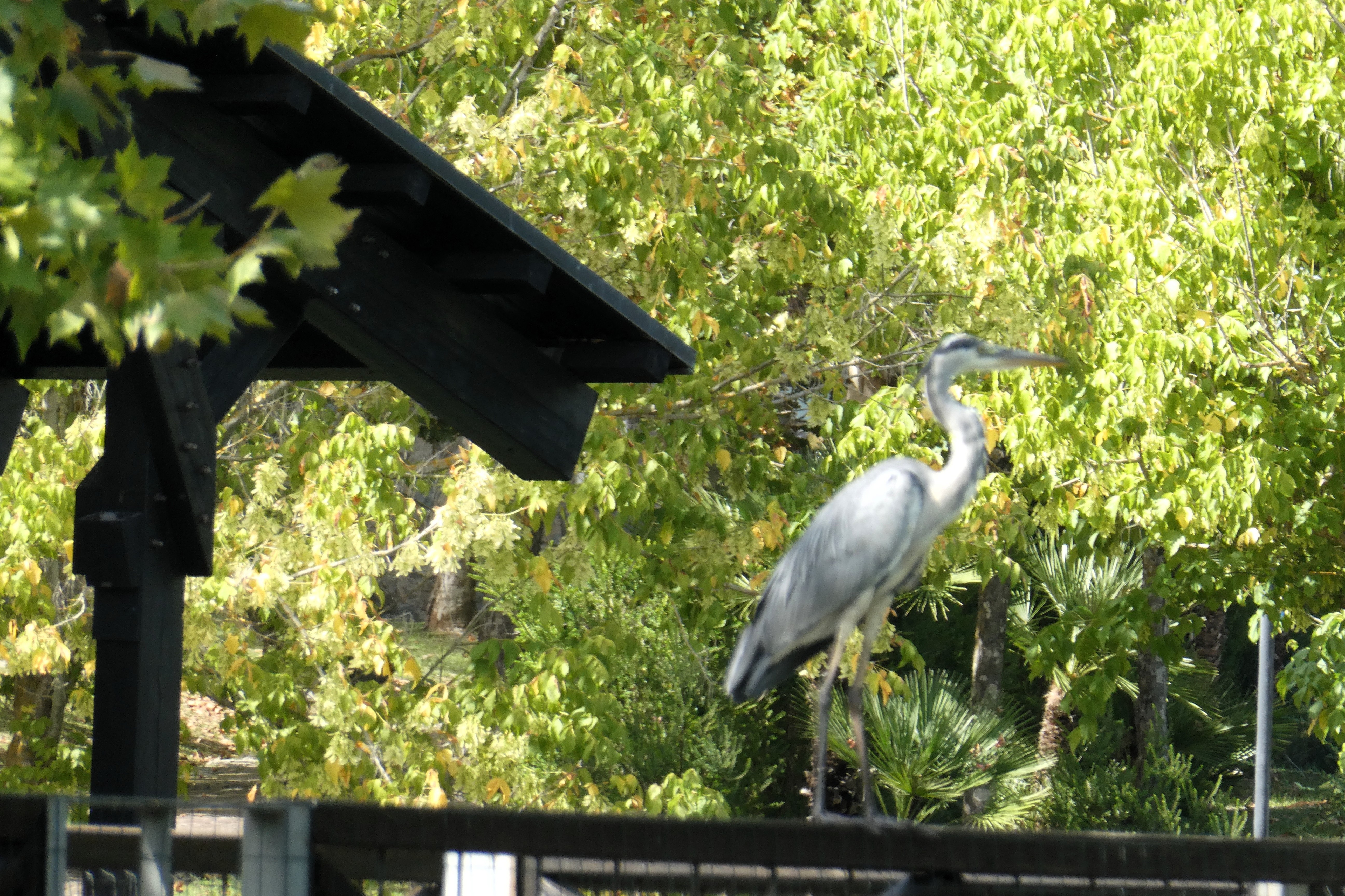 Oasi Alento - Cilento