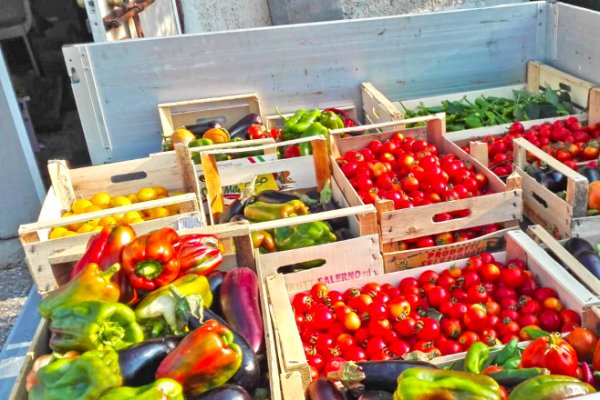 Oasi Alento - Cilento