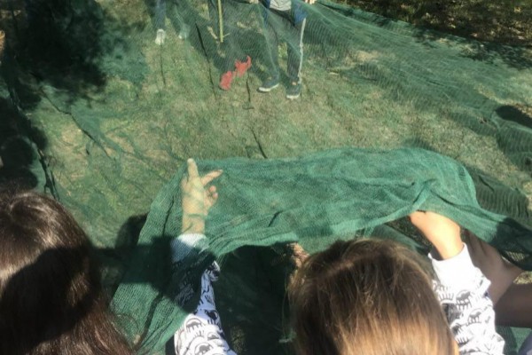 Oasi Alento - Cilento