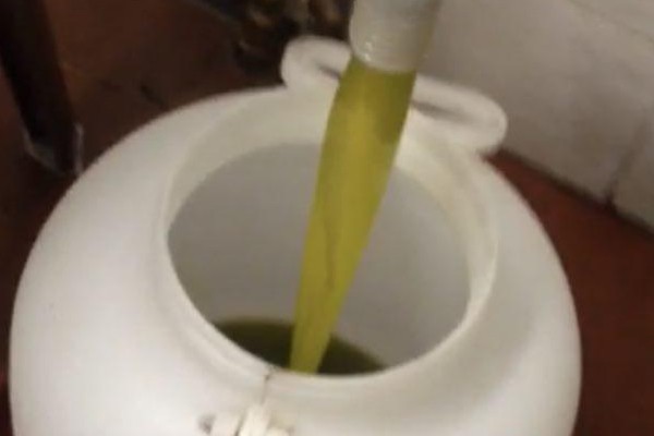 Oasi Alento - Cilento