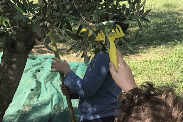 Oasi Alento - Cilento