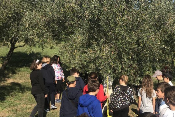 Oasi Alento - Cilento