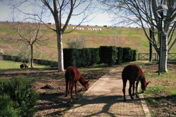 Oasi Alento - Cilento