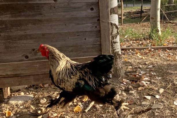 Oasi Alento - Cilento