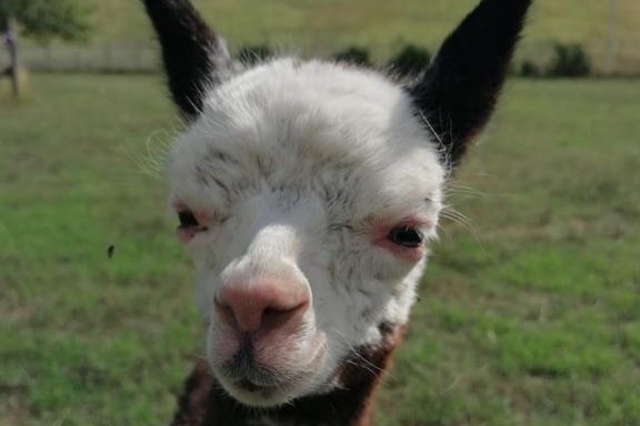 Oasi Alento - Cilento