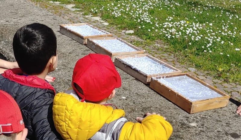 Oasi Alento - Cilento