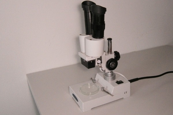 Oasi Alento - Cilento