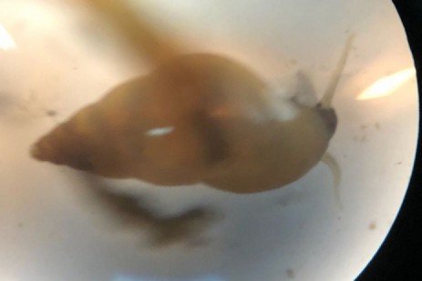 Oasi Alento - Cilento