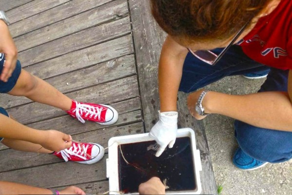 Oasi Alento - Cilento