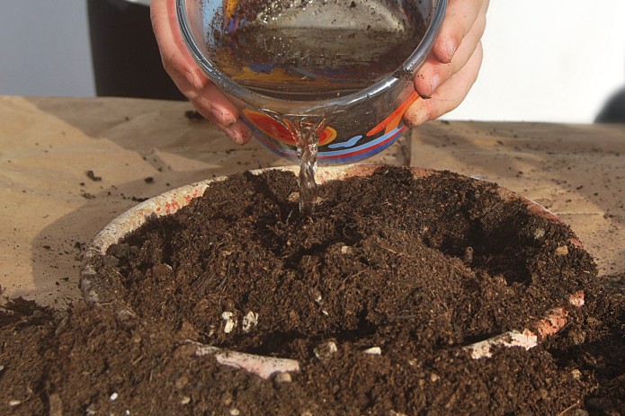 Oasi Alento - Cilento