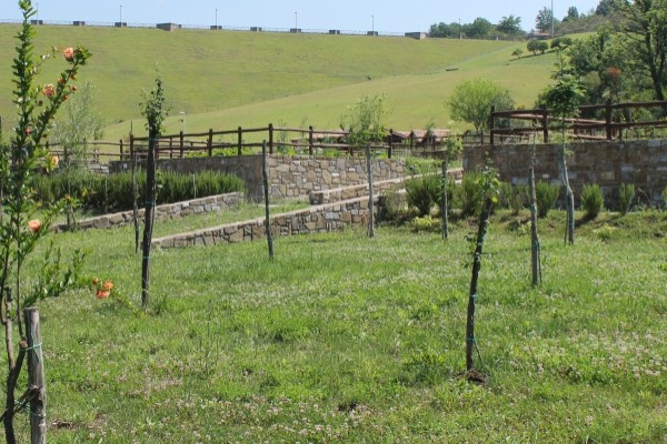 Oasi Alento - Cilento