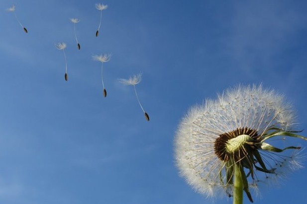Oasi Alento - Cilento