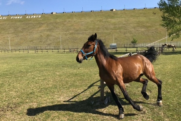 Oasi Alento - Cilento