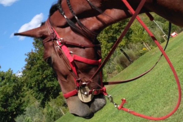 Oasi Alento - Cilento