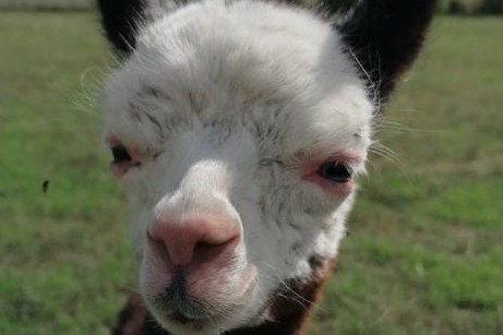 Oasi Alento - Cilento