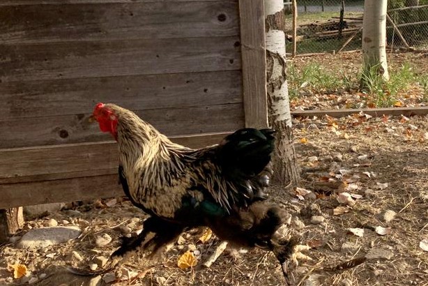 Oasi Alento - Cilento