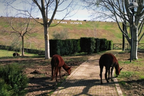 Oasi Alento - Cilento