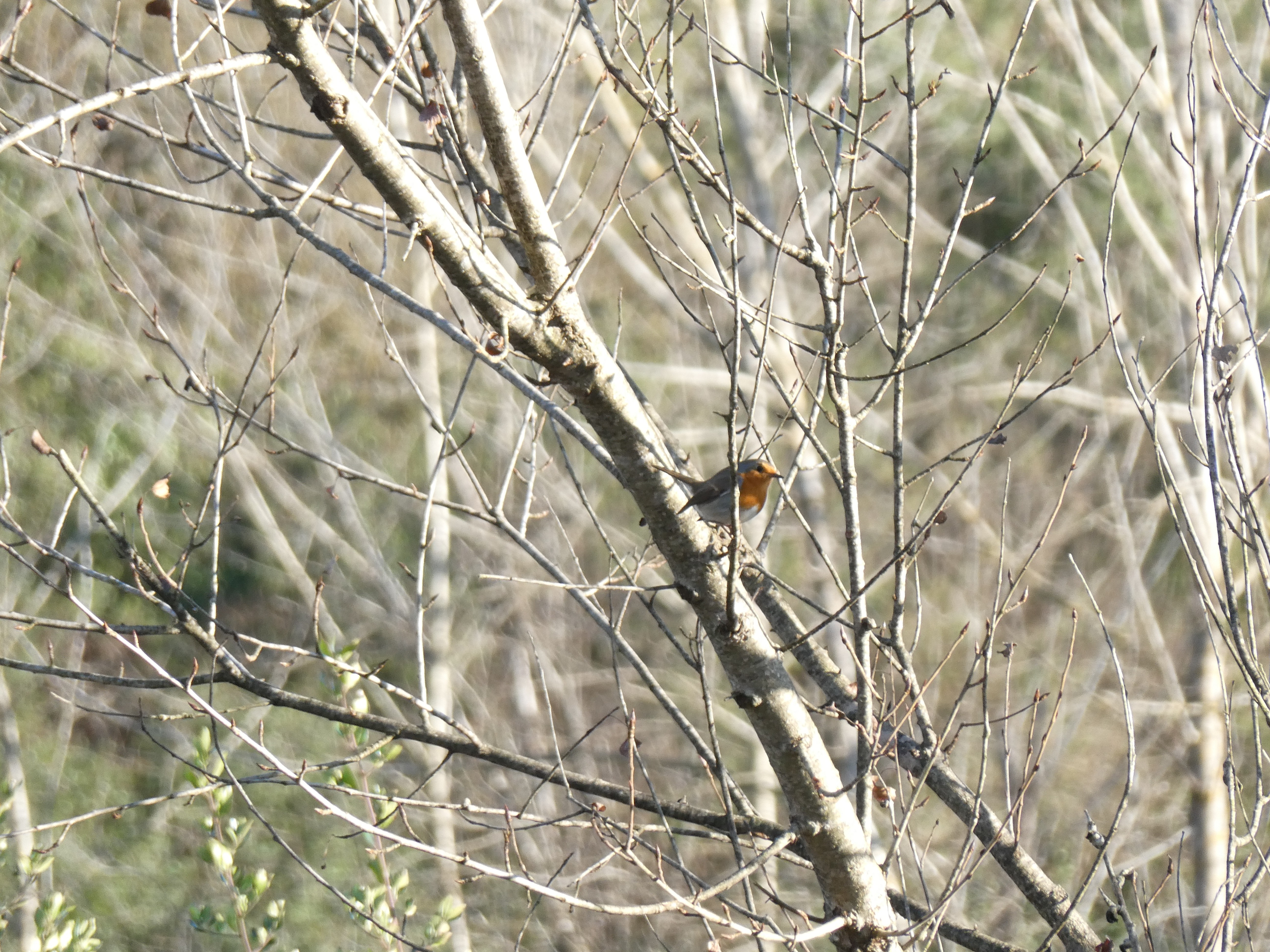Oasi Alento - Cilento