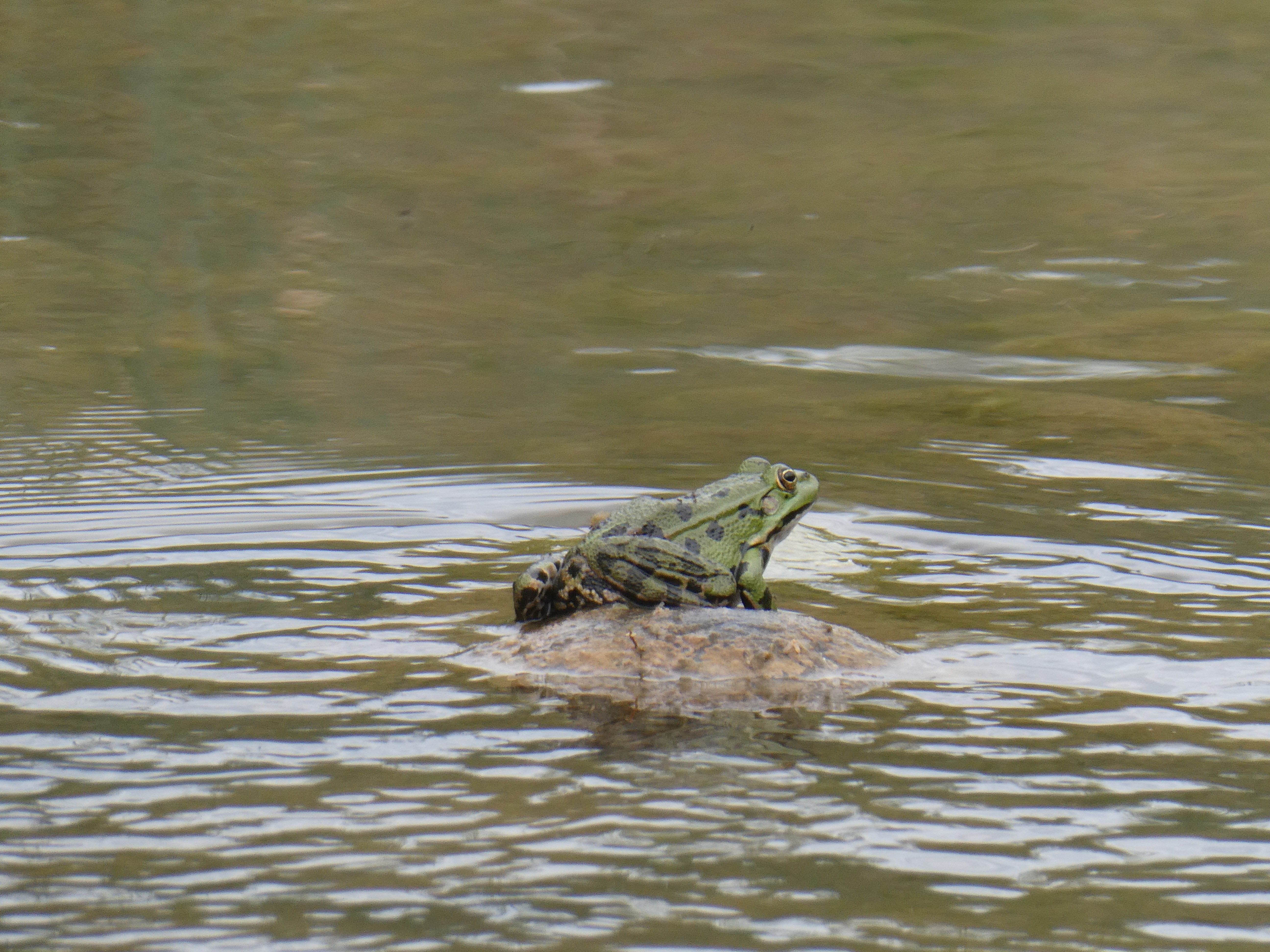 Oasi Alento - Cilento