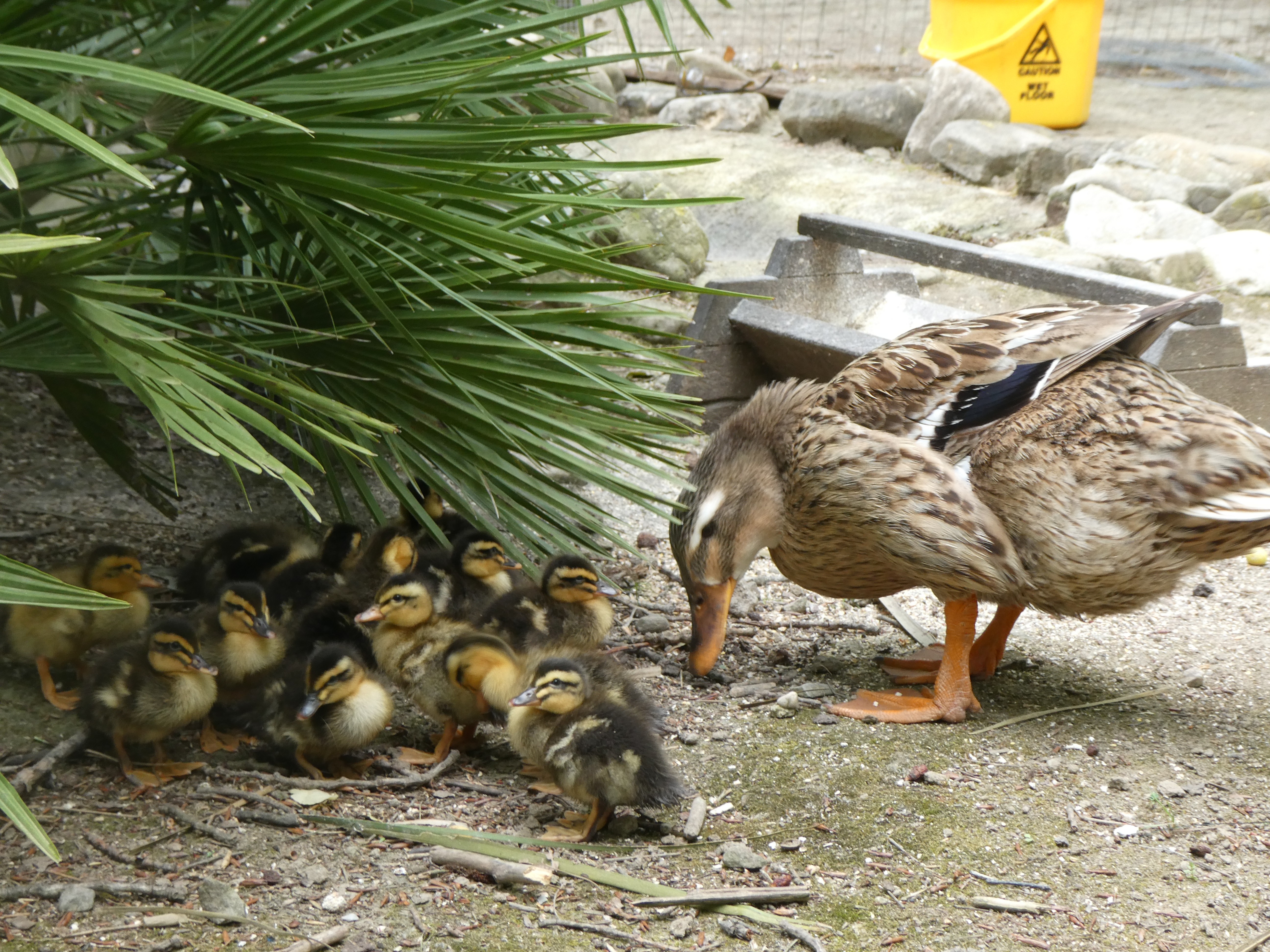 Oasi Alento - Cilento