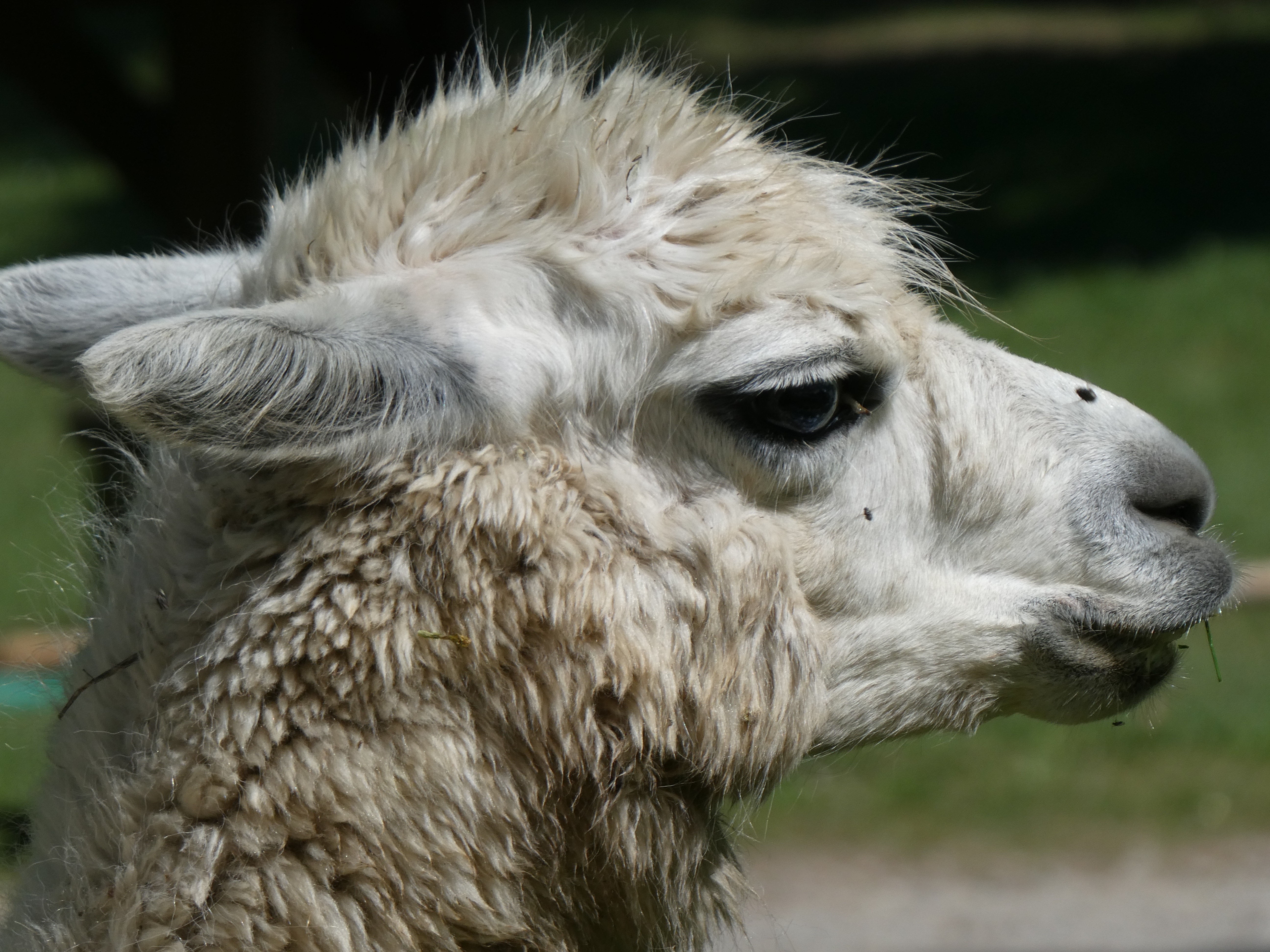 Oasi Alento - Cilento