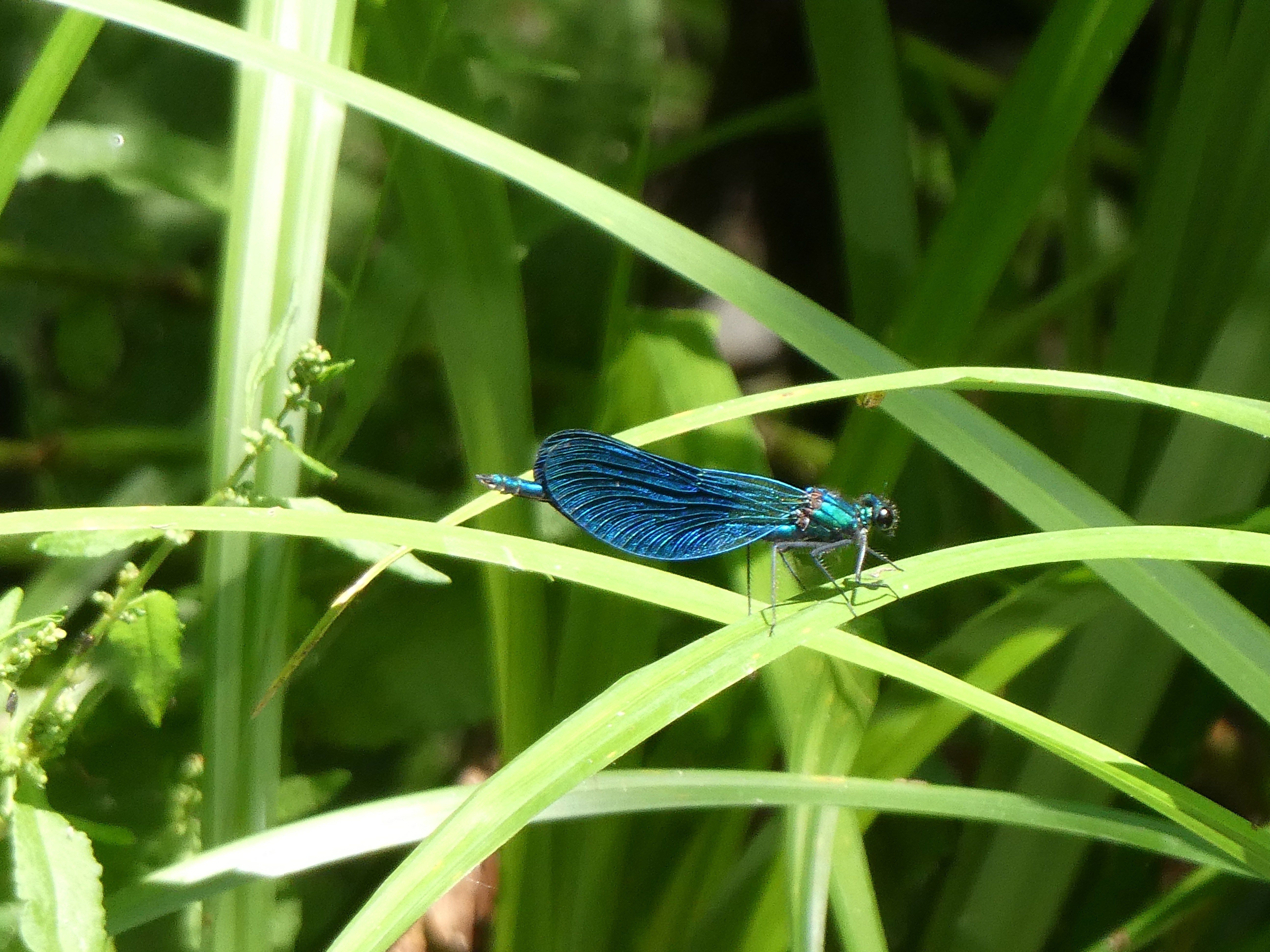 Oasi Alento - Cilento