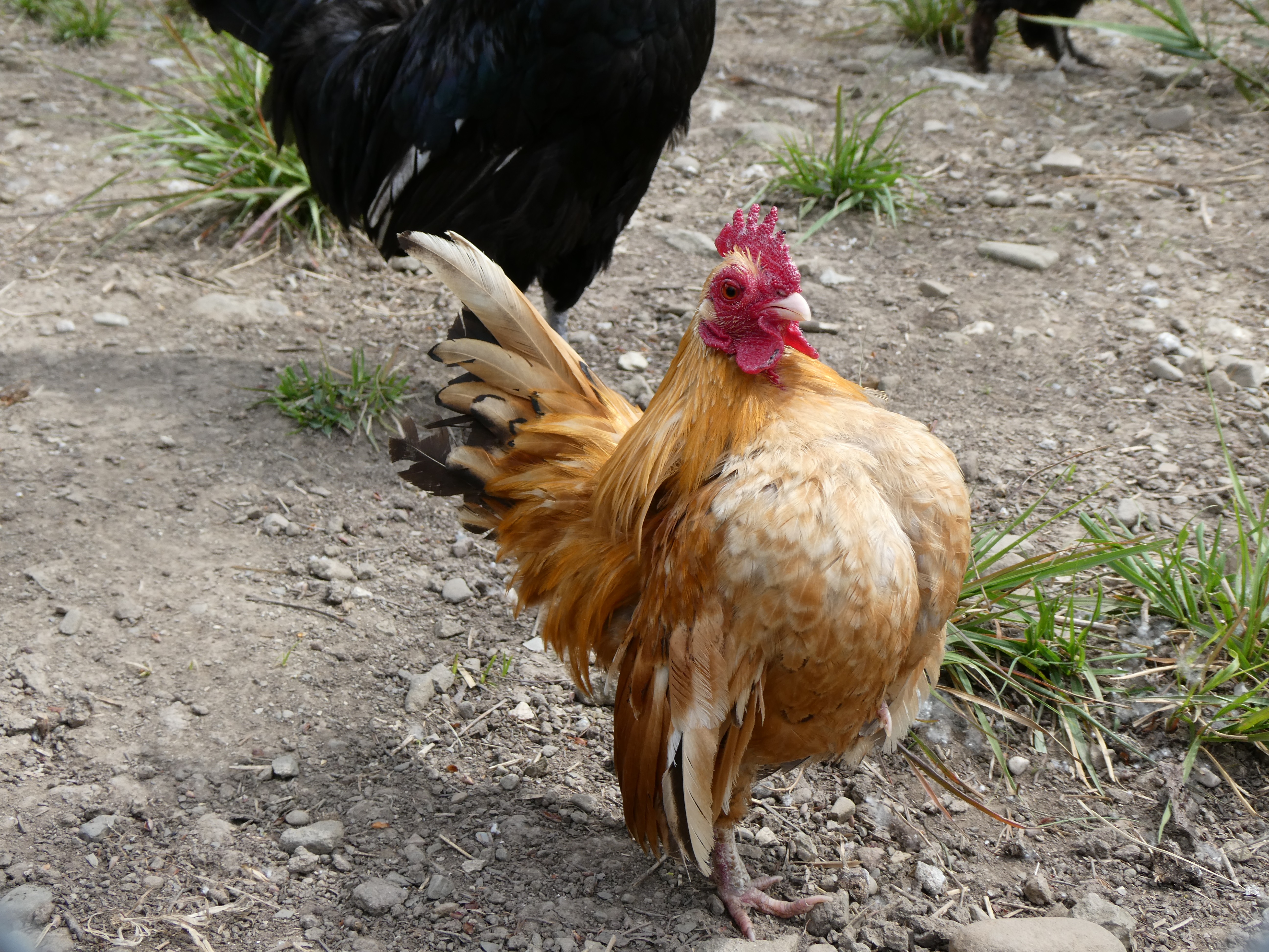 Oasi Alento - Cilento