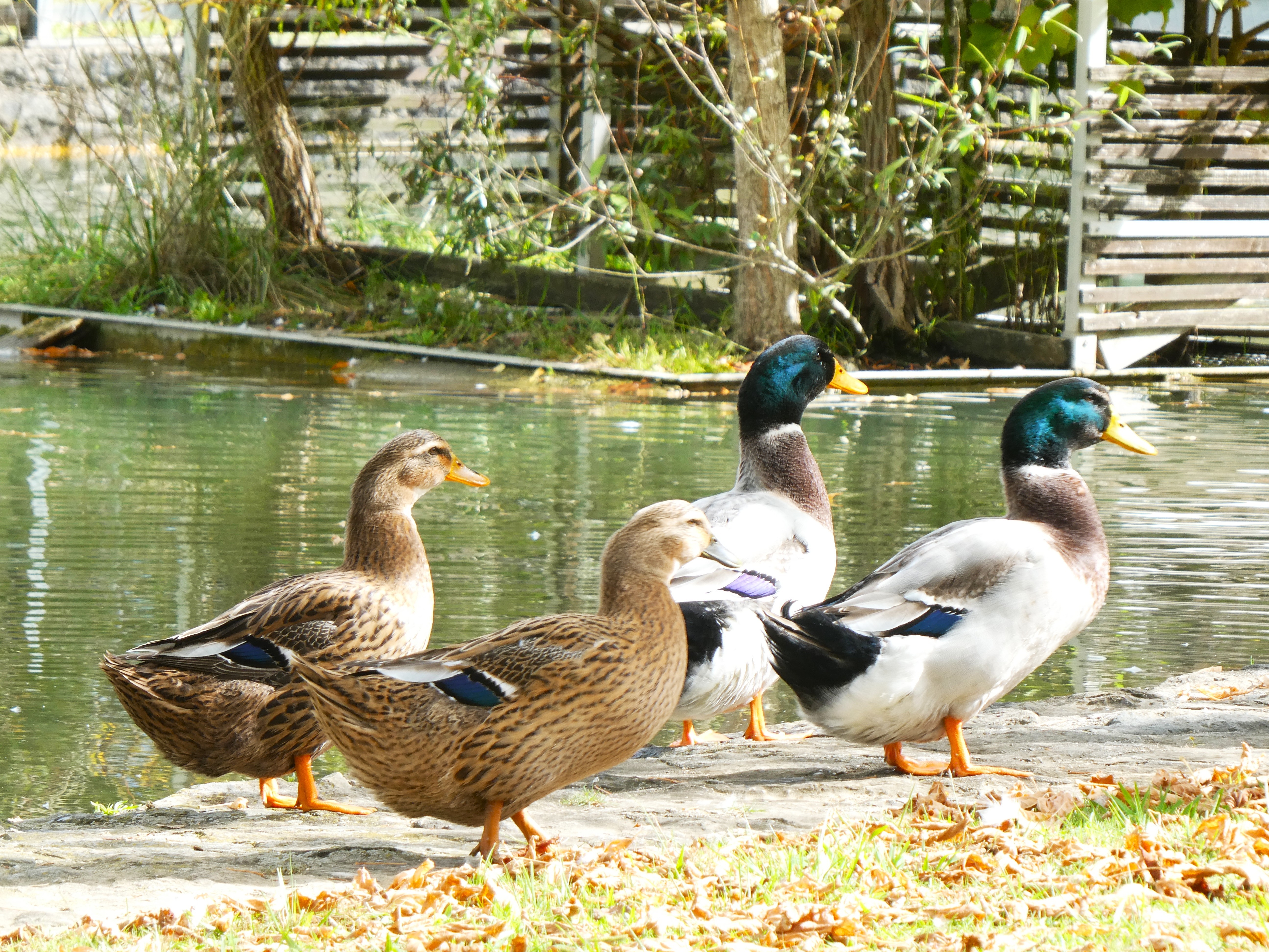 Oasi Alento - Cilento