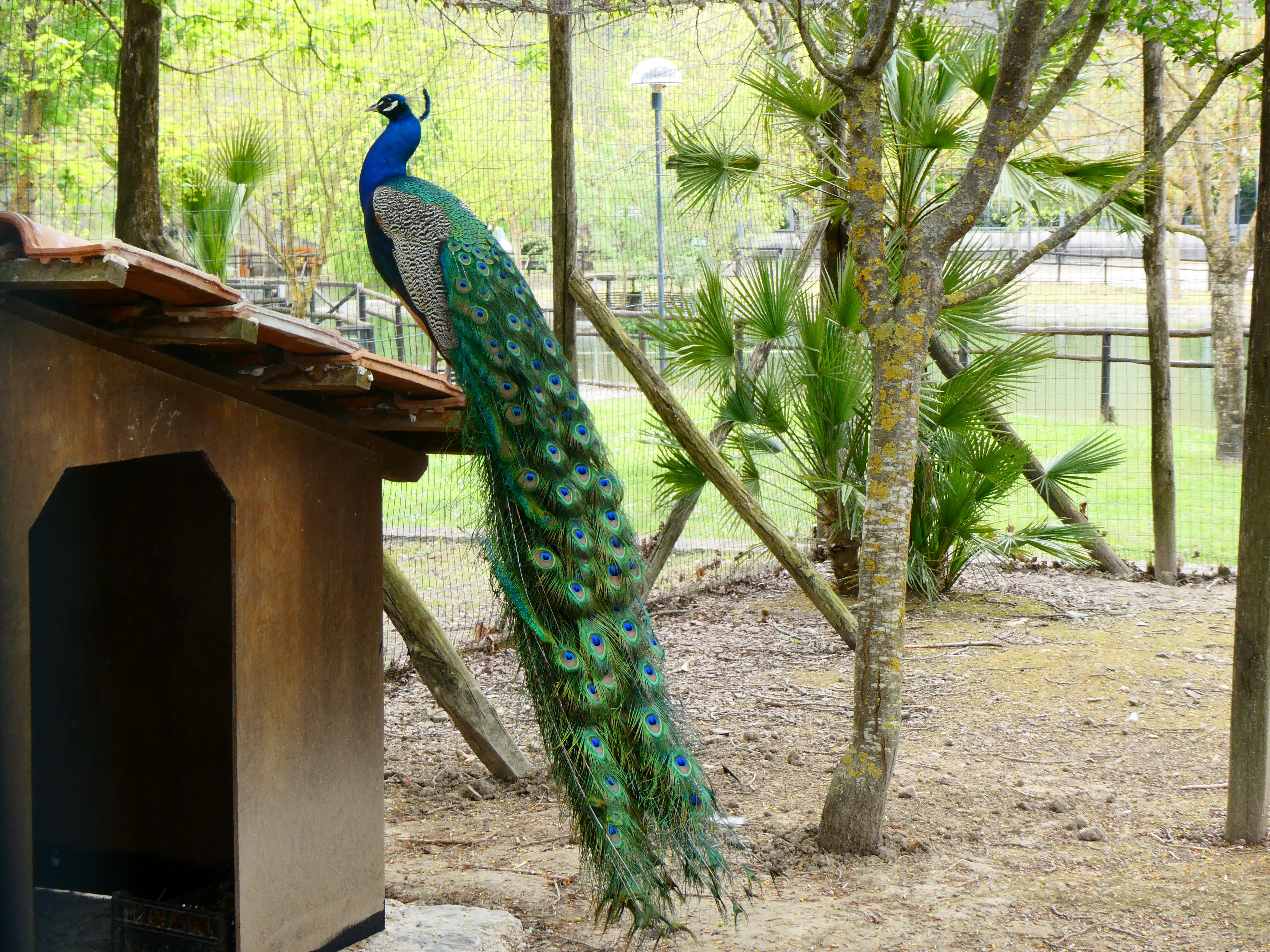 Oasi Alento - Cilento