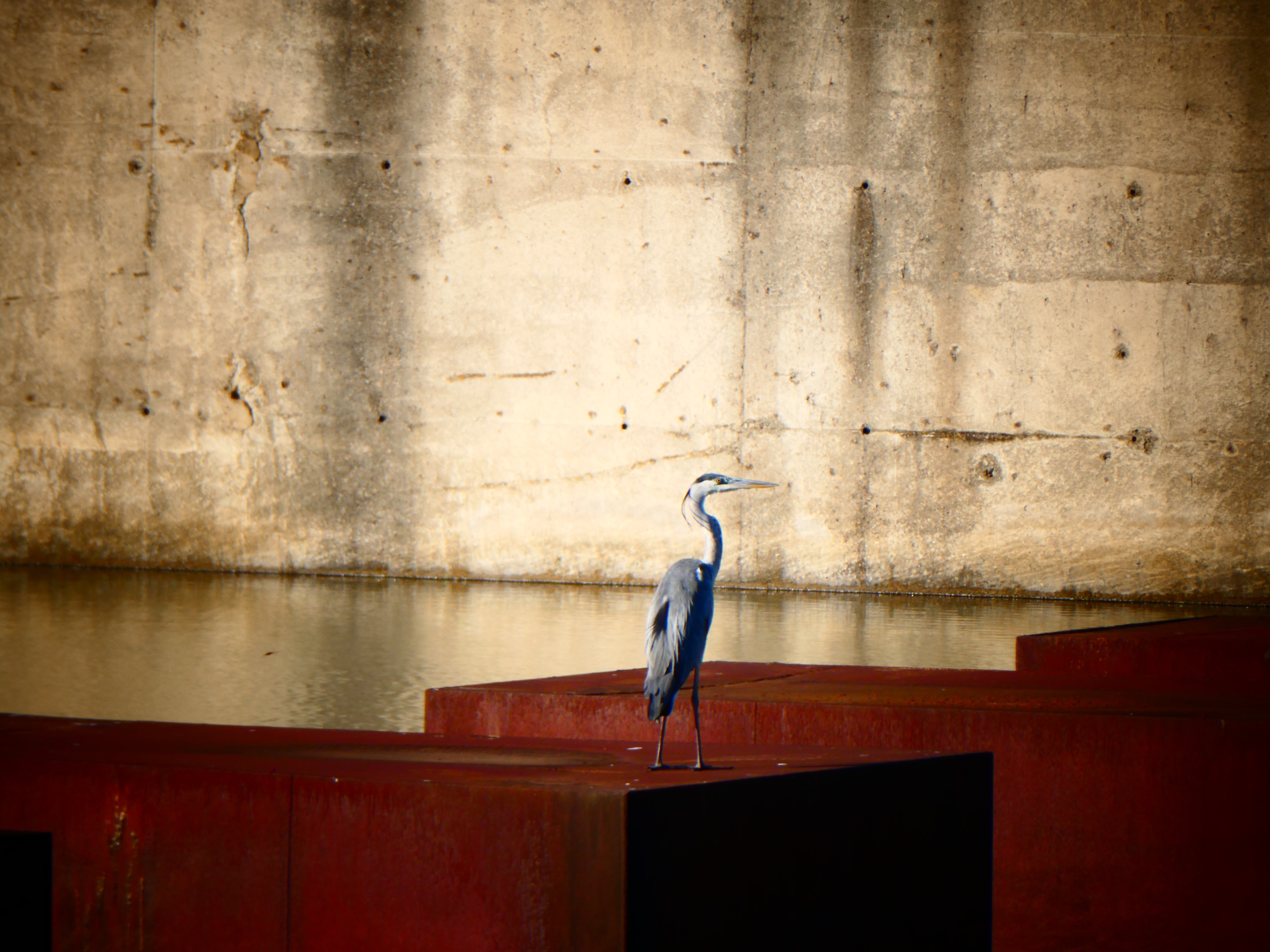 Oasi Alento - Cilento
