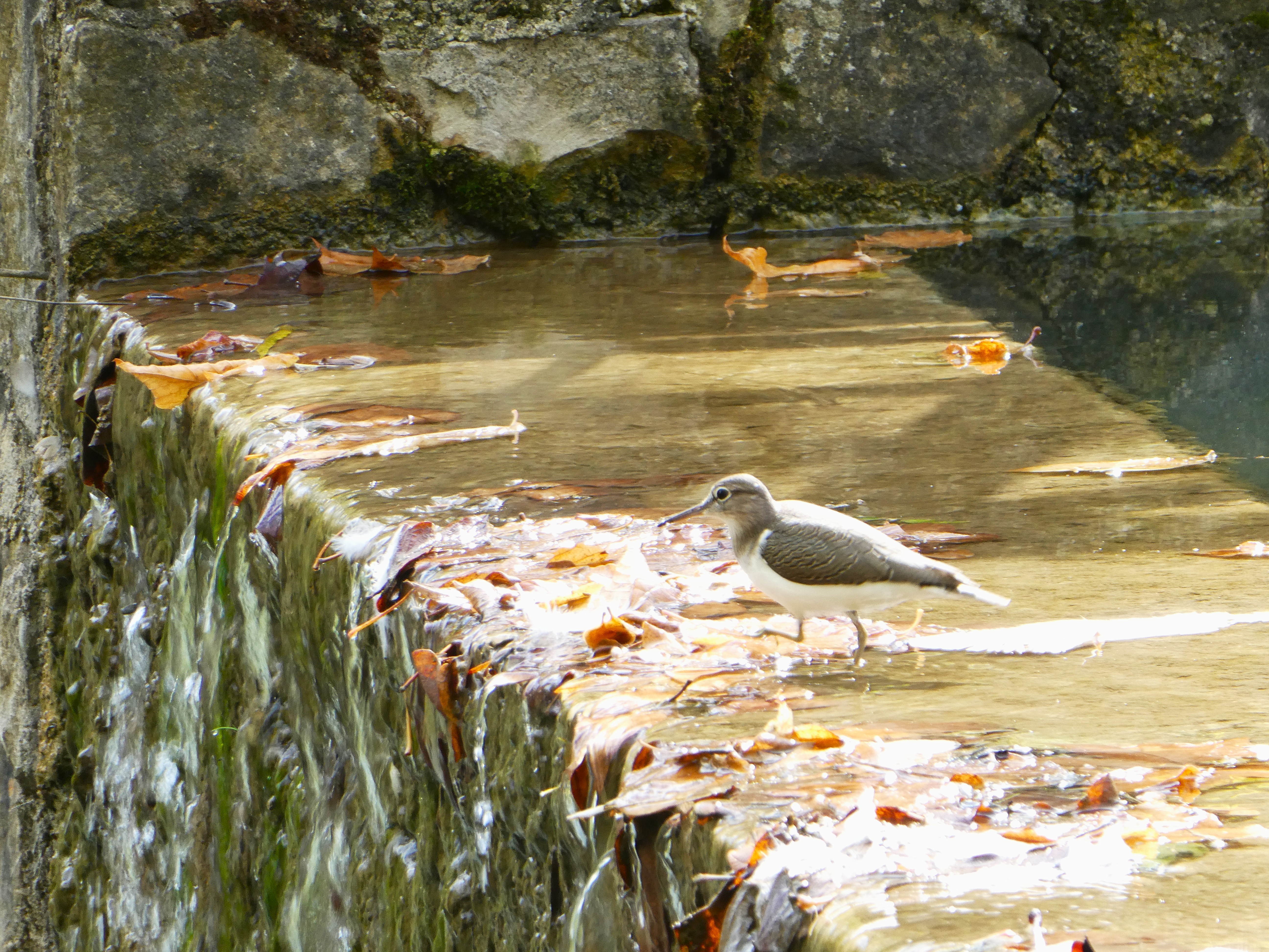 Oasi Alento - Cilento