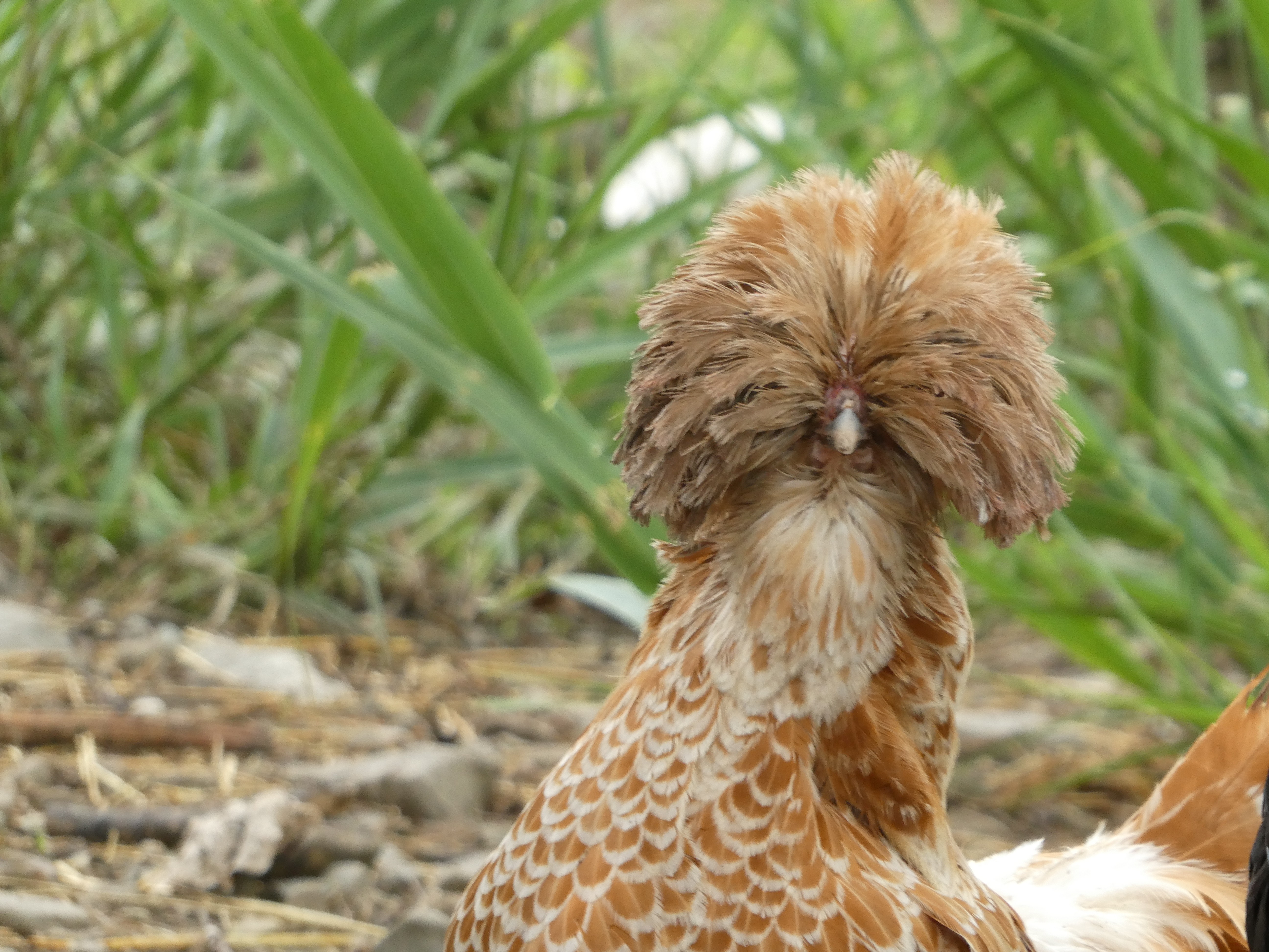 Oasi Alento - Cilento