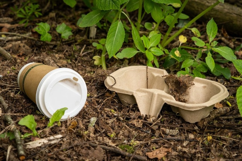 Oasi Alento - Cilento